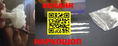дмт Гай