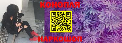эйфоретик Гатчина