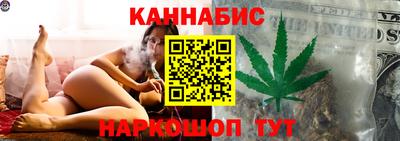 дмт Гай