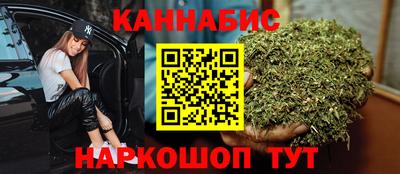 дмт Гай