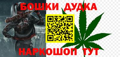 дмт Гай