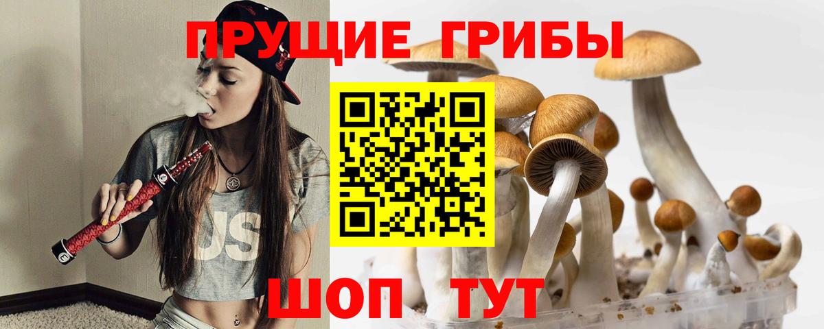 Сергиев Посад  купить закладку  Вход с VPN  Галлюциногенные грибы Psilocybe 